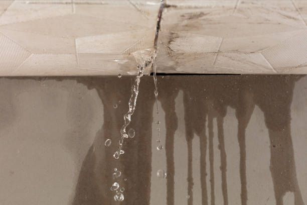 Professional Structural Drying technician working in New Baltimore, VA